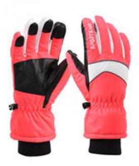 ski gloves no. WG1010