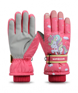 ski gloves no. CG1020